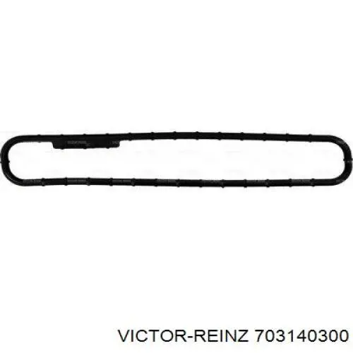 Купить 703140300 Victor Reinz Прокладка впускного коллектора