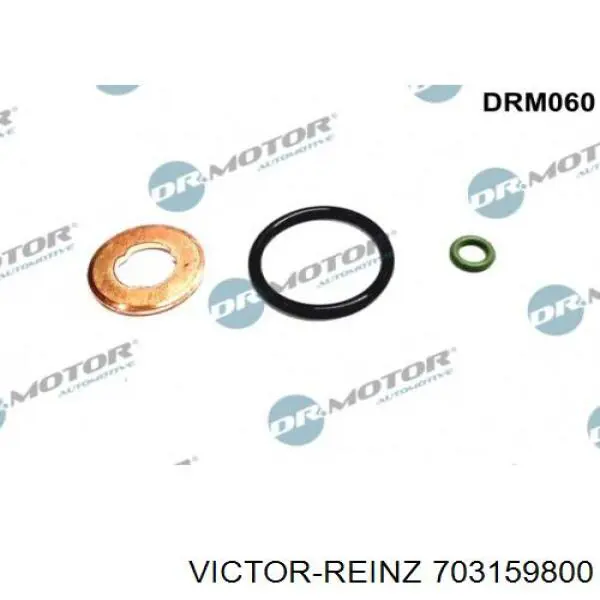 Уплотнительное кольцо форсунок  Victor Reinz 703159800