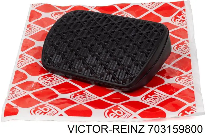 Кольцо форсунки 703159800 Victor Reinz