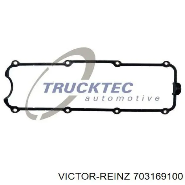 Прокладка клапанной крышки 703169100 Victor Reinz