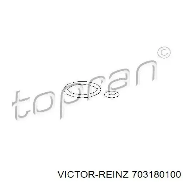 703180100 Victor Reinz  Прокладка впускного коллектора