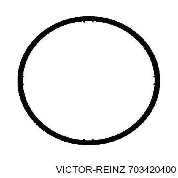 703420400 Victor Reinz прокладка впускного коллектора