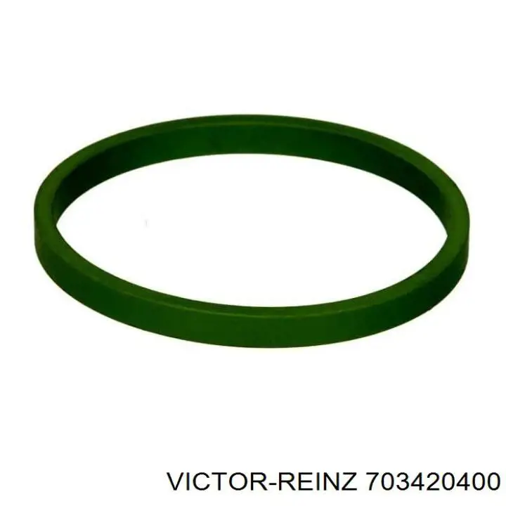 703420400 Victor Reinz