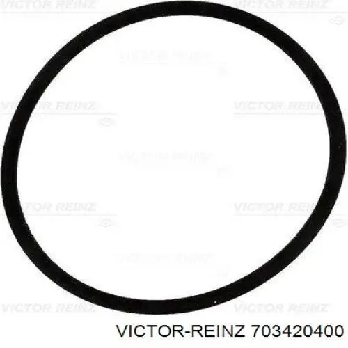703420400 Victor Reinz  Прокладка впускного коллектора