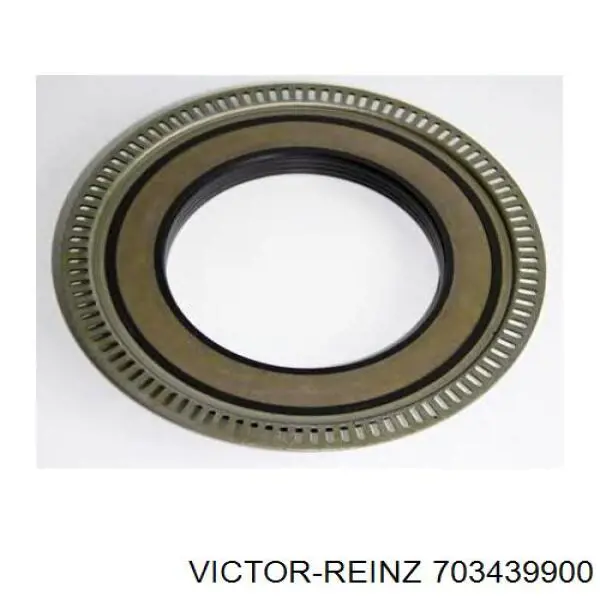 70-34399-00 Victor Reinz vedação de válvula (de óleo de admissão)