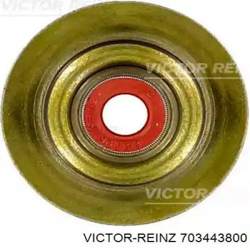 70-34438-00 Victor Reinz сальник клапана (маслосъемный, впуск/выпуск)