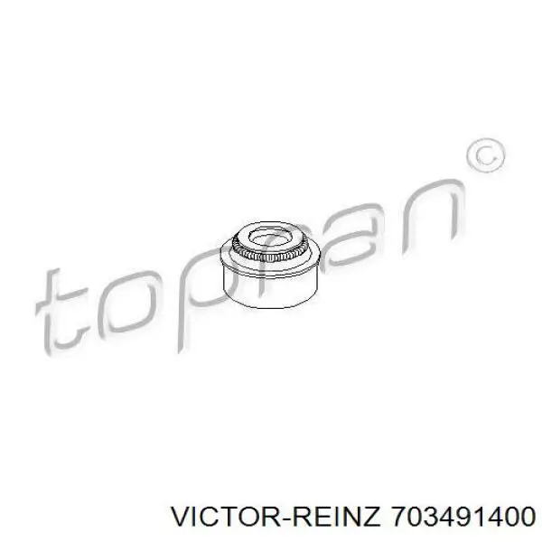 Bucim de válvula (coletor de óleo), admissão/escape Victor Reinz 703491400 preço, a partir de 2,69 USD