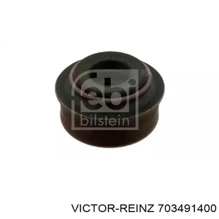 703491400 Victor Reinz