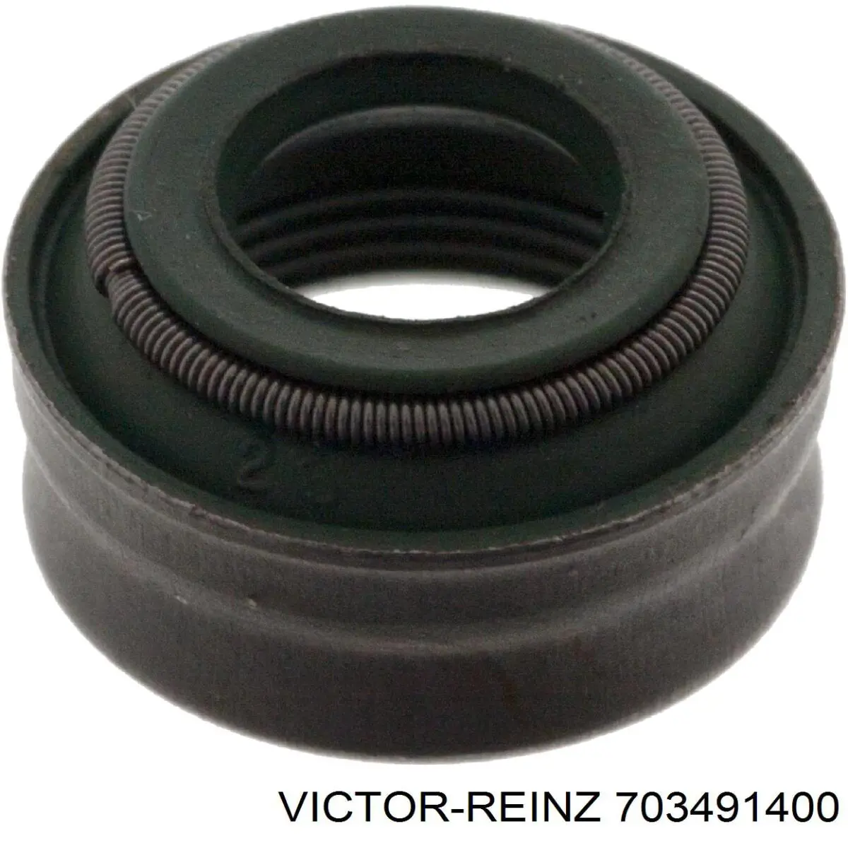 703491400 Victor Reinz