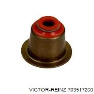 70-35172-00 Victor Reinz bucim de válvula (coletor de óleo, admissão/escape)