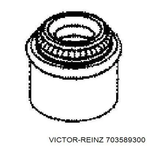 70-35893-00 Victor Reinz сальник клапана (маслосъемный, впуск/выпуск)