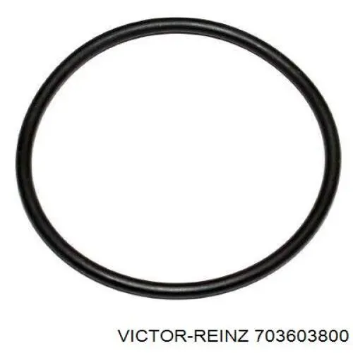 Прокладка водяной помпы Victor Reinz 703603800 цена, от 2.95 USD