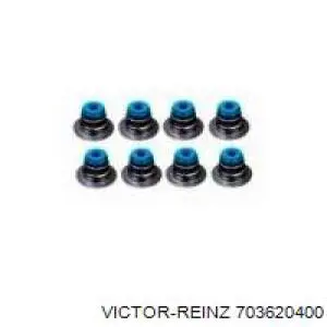 Сальник клапана (маслосъёмный) выпускного Victor Reinz 703620400