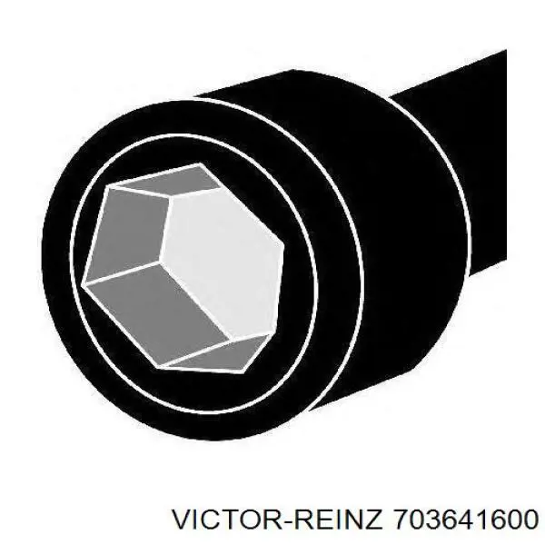 703641600 Victor Reinz