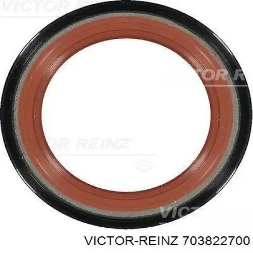 703822700 Victor Reinz сальник клапана (маслосъемный, впуск/выпуск)