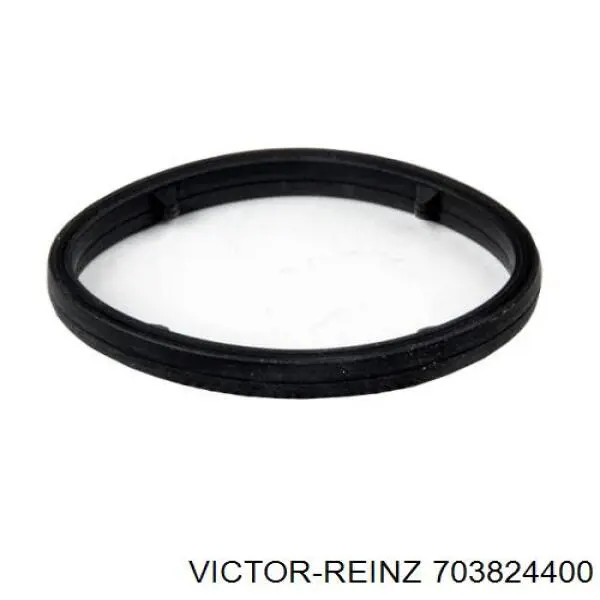Прокладка масляного фильтра 703824400 Victor Reinz