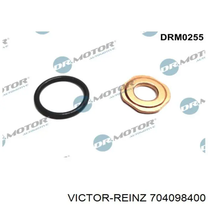 Купить 704098400 Victor Reinz Кольцо инжектора
