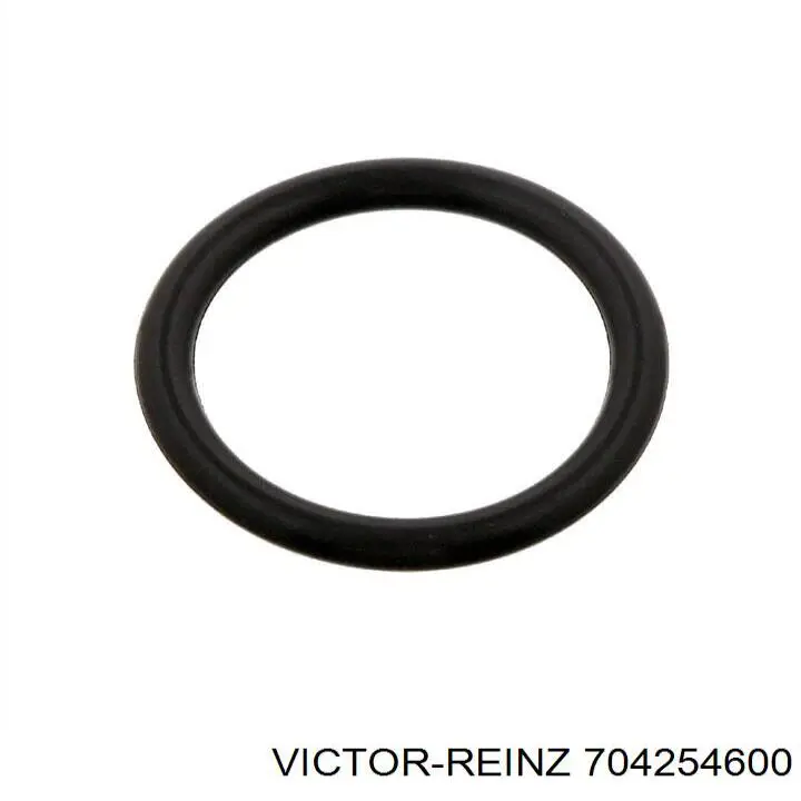 70-42546-00 Victor Reinz сальник клапана (маслосъемный, впуск/выпуск)
