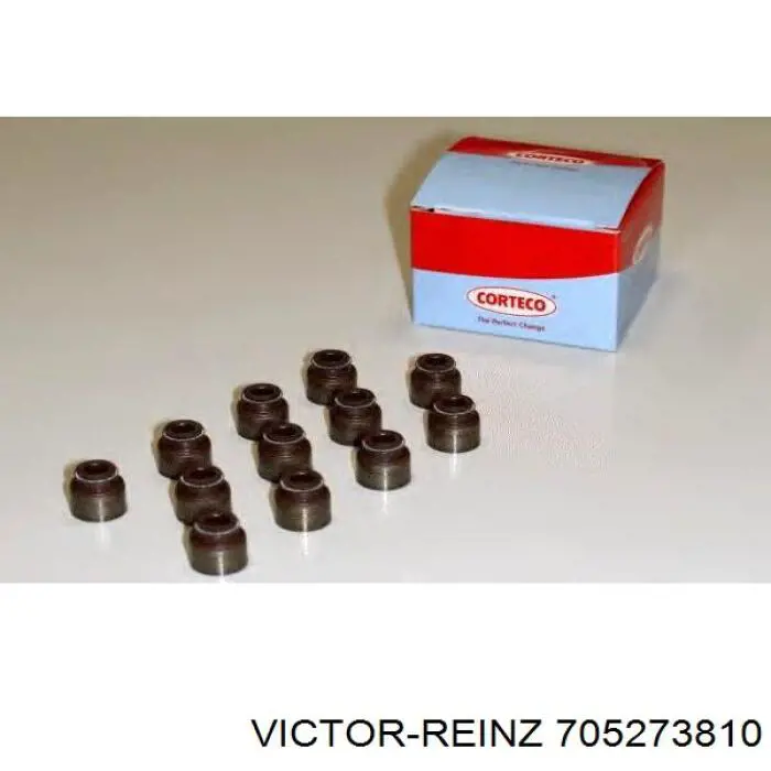 705273810 Victor Reinz bucim de válvula (coletor de óleo, admissão/escape)