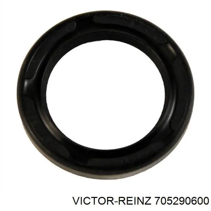 705290600 Victor Reinz