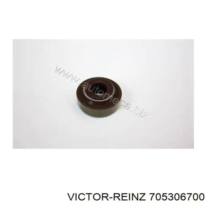 705306700 Victor Reinz сальник клапана (маслосъемный, впуск/выпуск)
