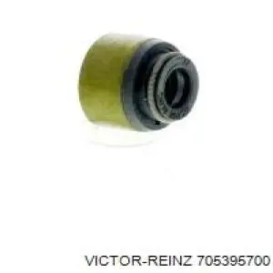 Маслосъемный сальник клапана впуск/выпуск Victor Reinz 705395700 цена, от 1.36 USD