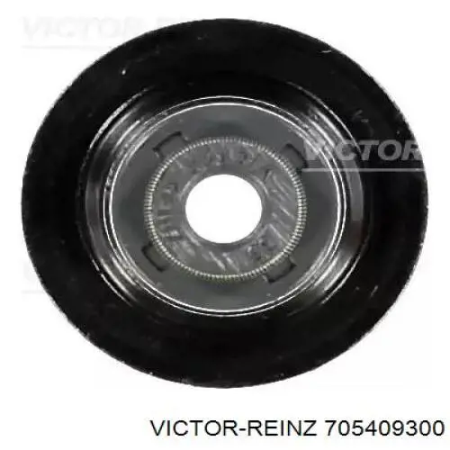 705409300 Victor Reinz vedação de válvula (de óleo de escape)