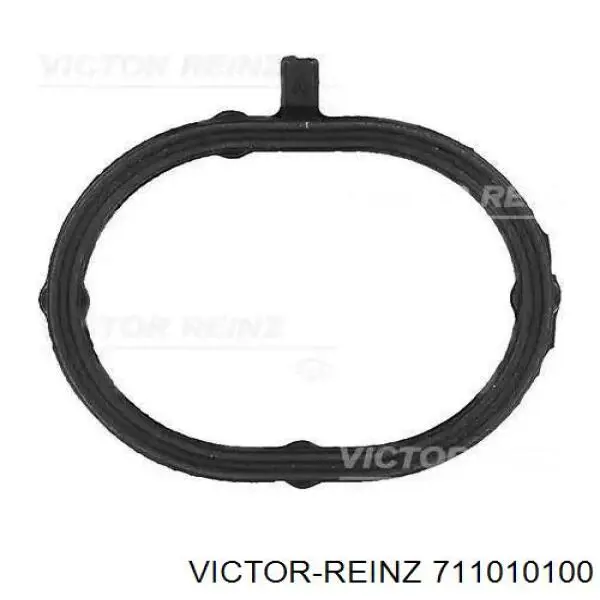 711010100 Victor Reinz