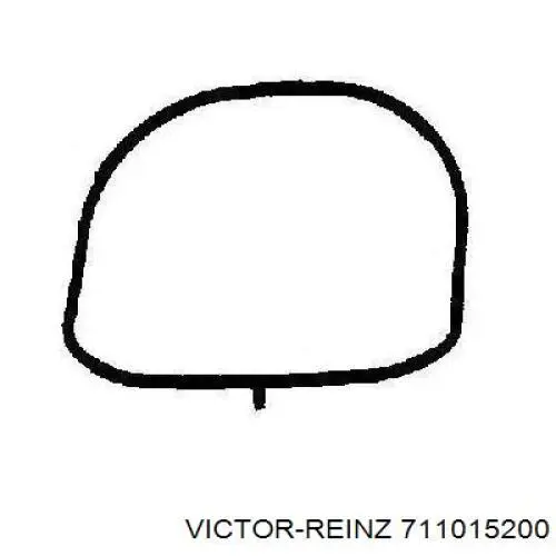 711015200 Victor Reinz прокладка впускного коллектора