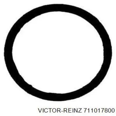 Прокладка турбины выхлопных газов, впуск Victor Reinz 711017800 цена, от 7.84 USD