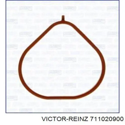  711020900 Victor Reinz