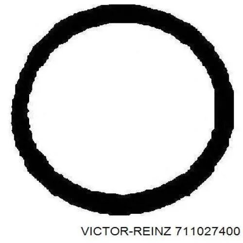 Купить 711027400 Victor Reinz 