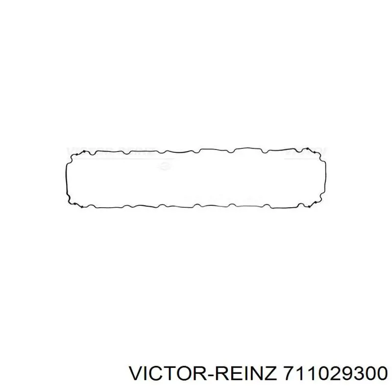  711029300 Victor Reinz