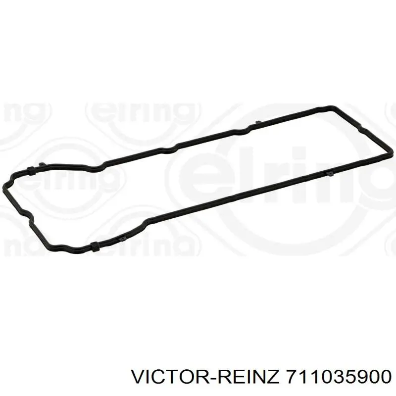 71-10359-00 Victor Reinz прокладка клапанной крышки двигателя левая