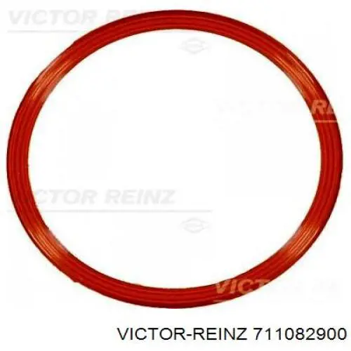  711082900 Victor Reinz