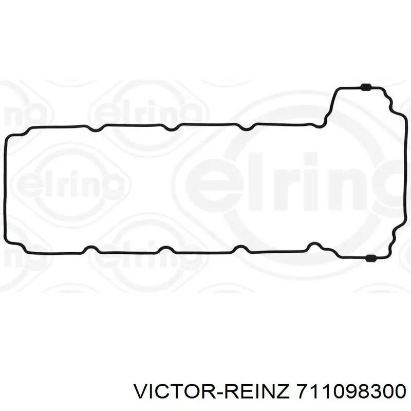 Junta, Tapa de culata de cilindro, Anillo de junta 711098300 Victor Reinz