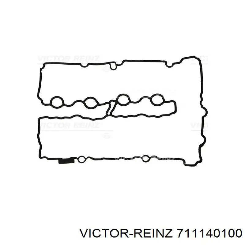 711140100 Victor Reinz