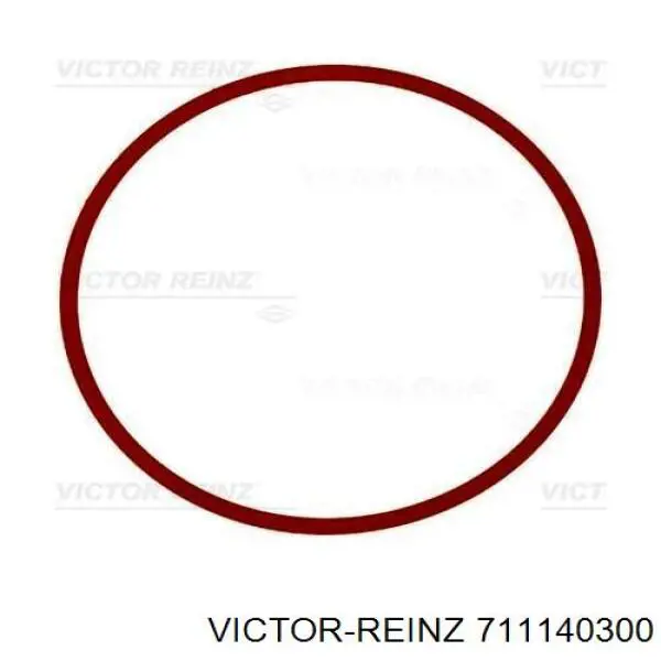 711140300 Victor Reinz vedante de tubo coletor de admissão