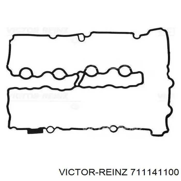 71-11411-00 Victor Reinz vedante de tampa de válvulas de motor