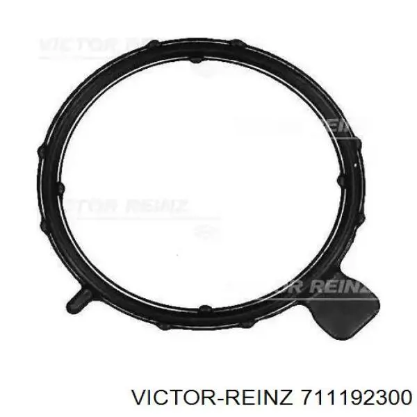 Прокладка клапанной крышки двигателя, кольцо Victor Reinz 711192300