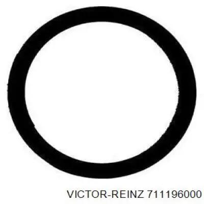 Кольцо приемной трубы глушителя Victor Reinz 711196000