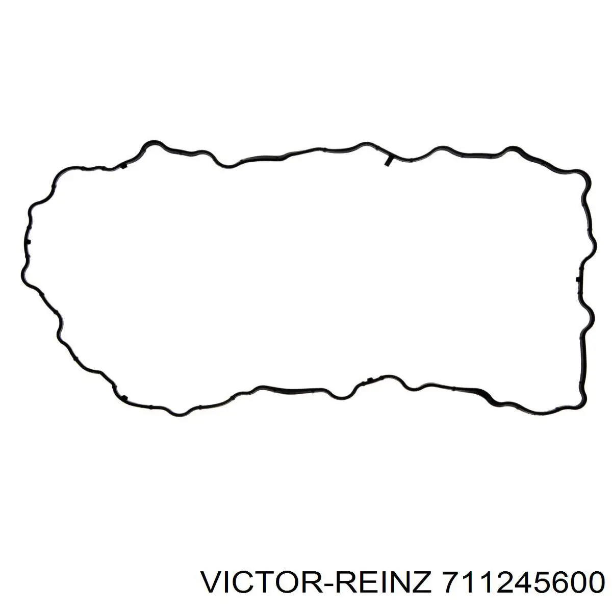 71-12456-00 Victor Reinz vedante de panela de cárter do motor