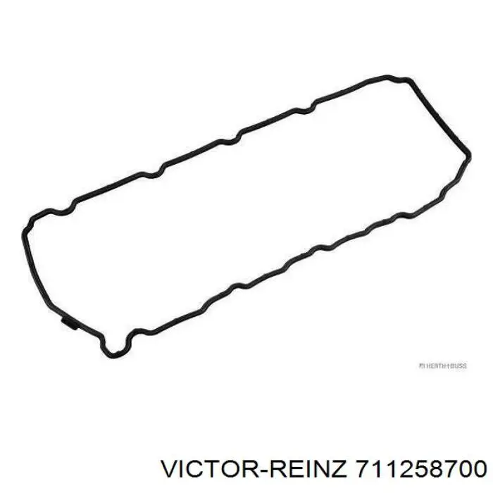 711258700 Victor Reinz