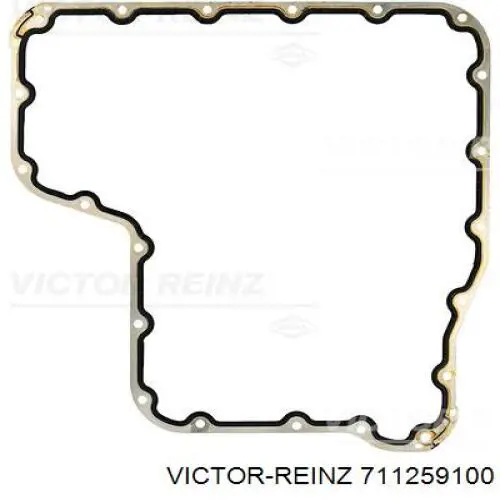  711259100 Victor Reinz