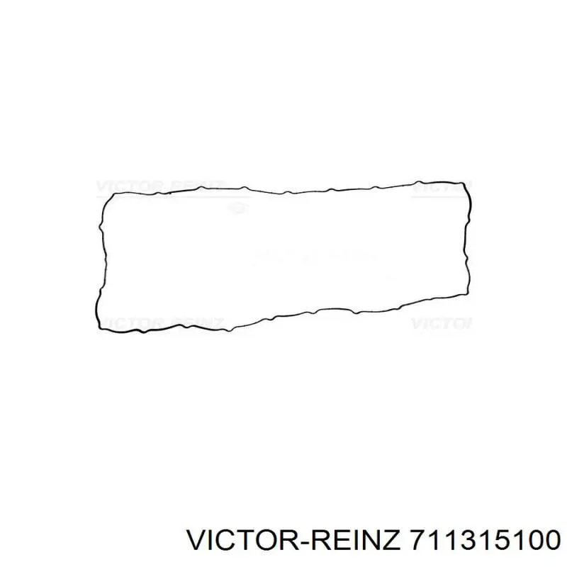 711315100 Victor Reinz 