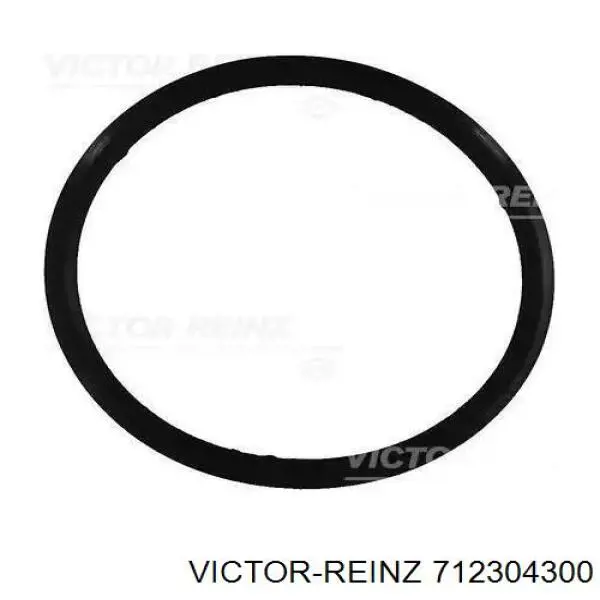 Прокладка крышки двигателя Victor Reinz 712304300 цена, от 4.09 USD