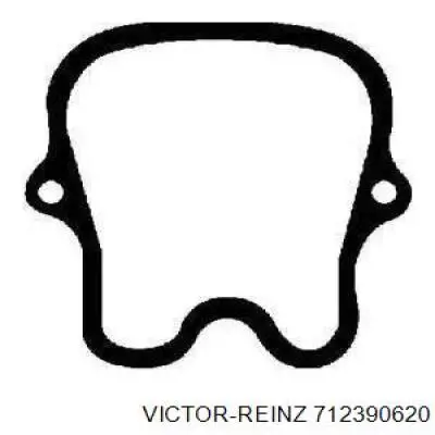 712390620 Victor Reinz прокладка клапанной крышки