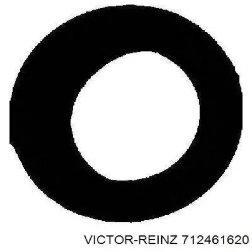 Купить 712461620 Victor Reinz Прокладка впускного коллектора