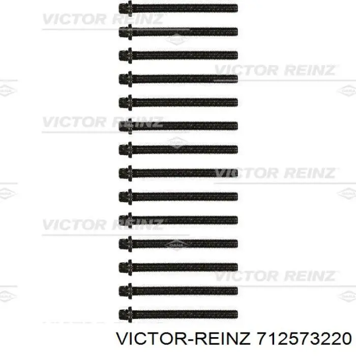 Купить 712573220 Victor Reinz Прокладка впускного коллектора правая