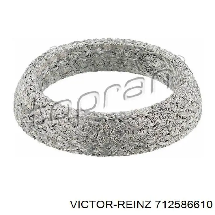 712586610 Victor Reinz